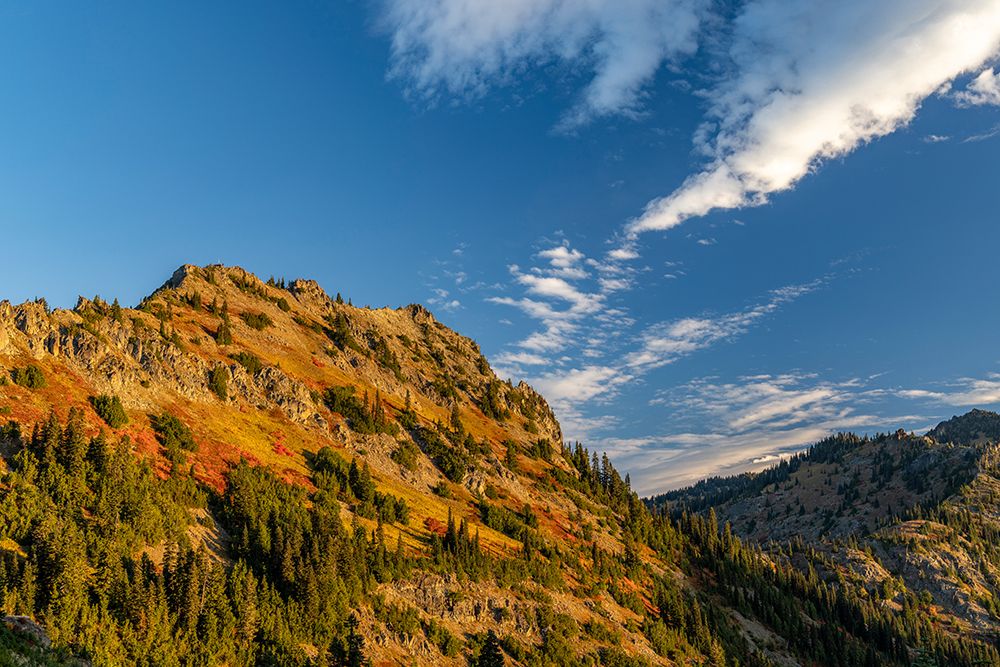 Autumn color on Yakima Peak in Mount Rainier National Park-Washington State-USA